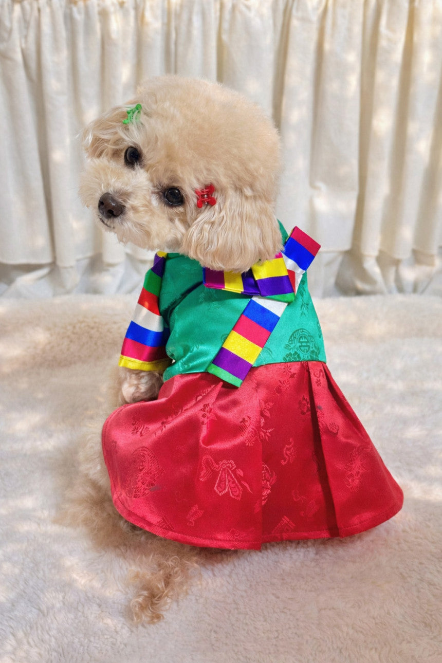 Korean Saekdong Pet Hanbok