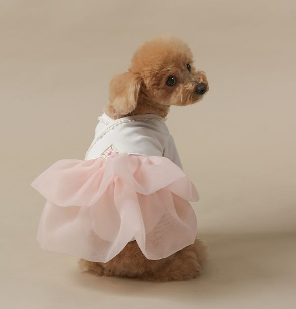 Daily Modern Cotton Hanbok