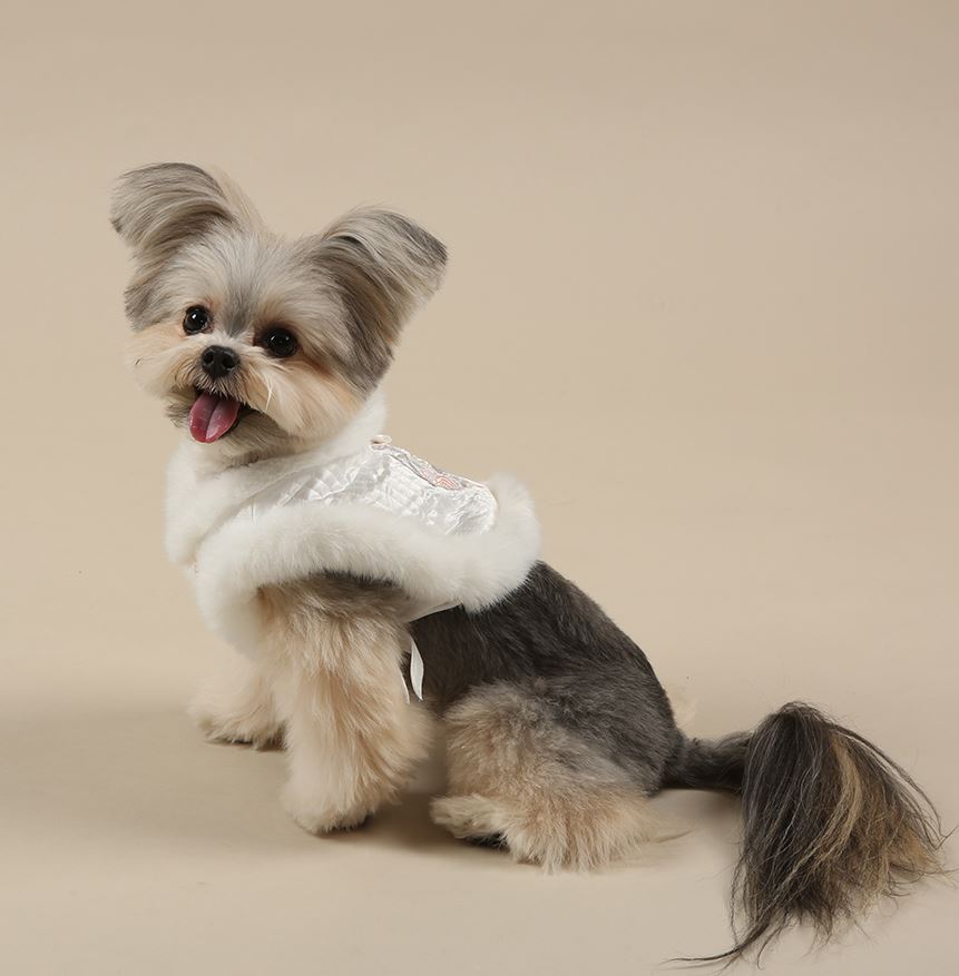 Floral Embroidered Vest Pet Hanbok