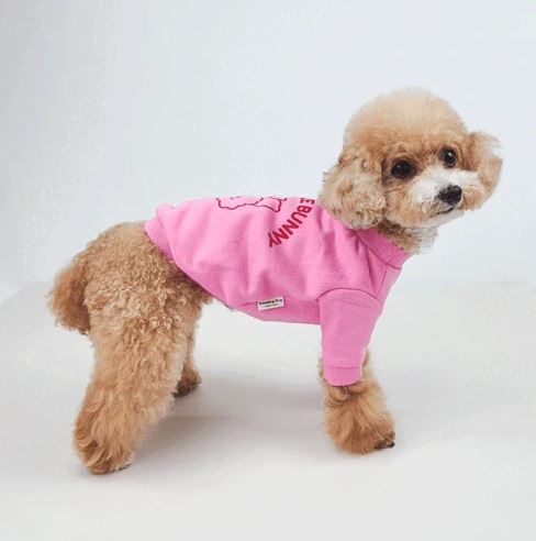 NKpup Wild Bunny pink dog sweatshirt with bunny graphic and text