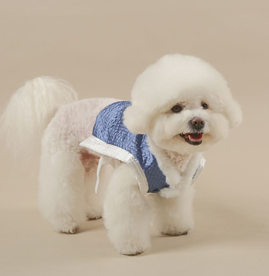 Royal Quilted Baeja Vest Pet Hanbok