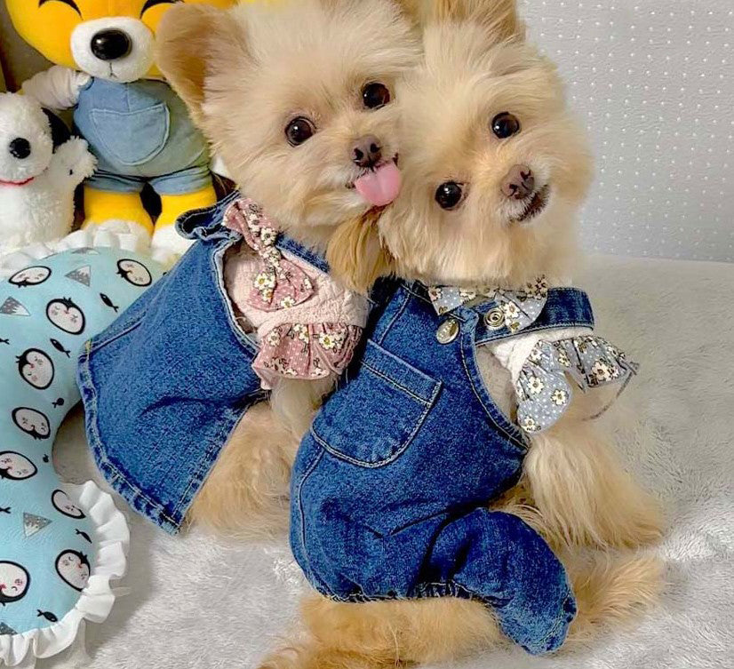 Denim Outfit Overall&Skirt