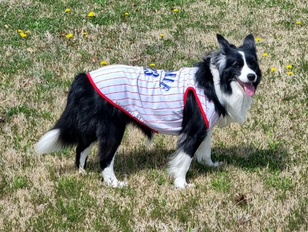 S-5XL, Rookie Jersey cooling Sleeveless
