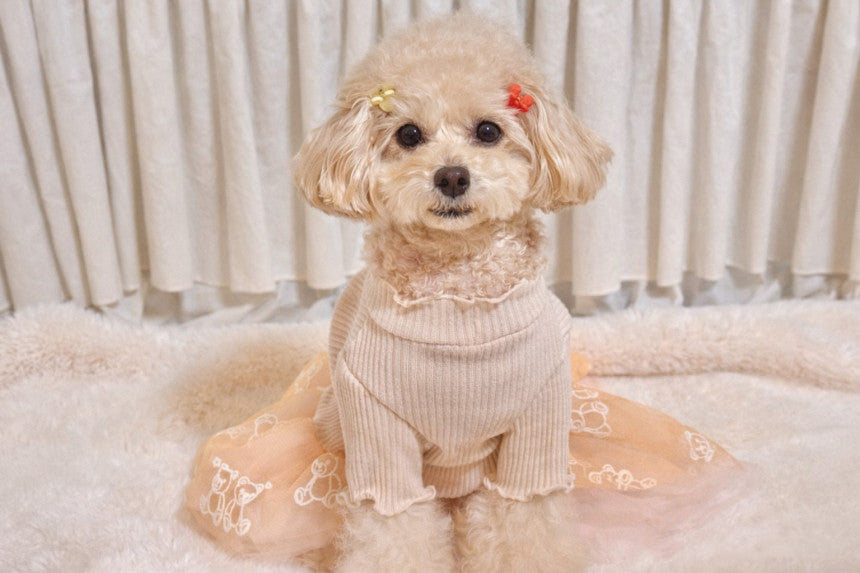 Ribbed Knit Bear Tutu Dog Dress