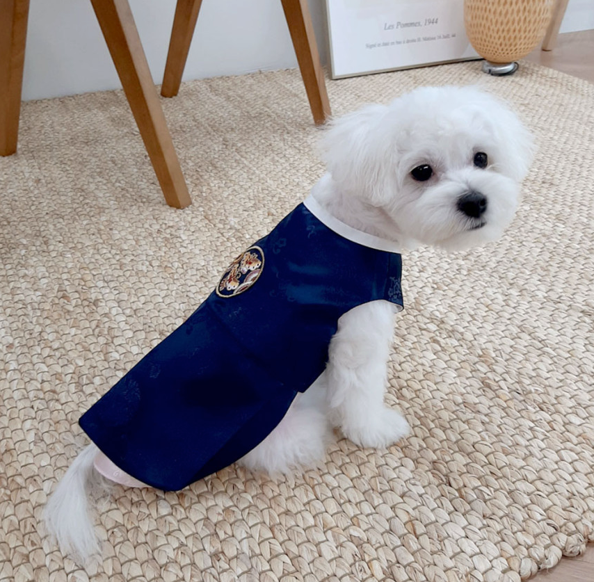 Traditional Navy Pet Hanbok