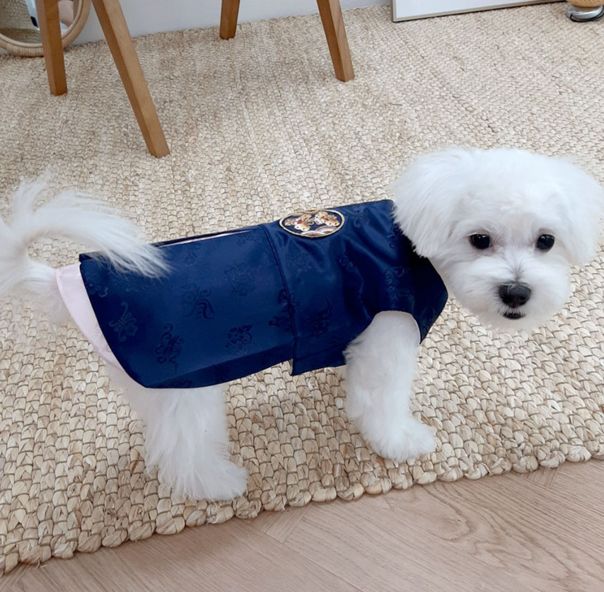 Traditional Navy Pet Hanbok