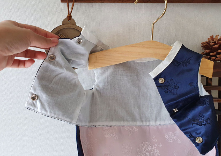 Traditional Navy Pet Hanbok