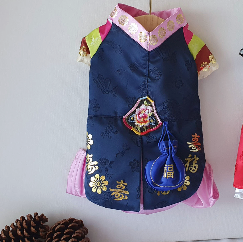 Traditional Embroidery Hanbok