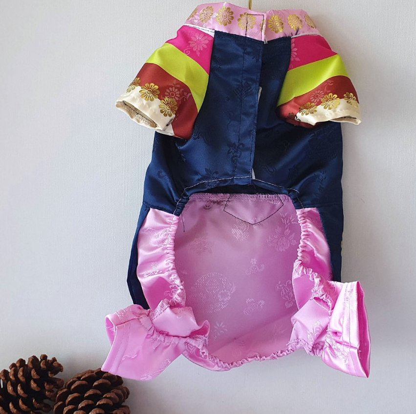 Traditional Embroidery pet Hanbok