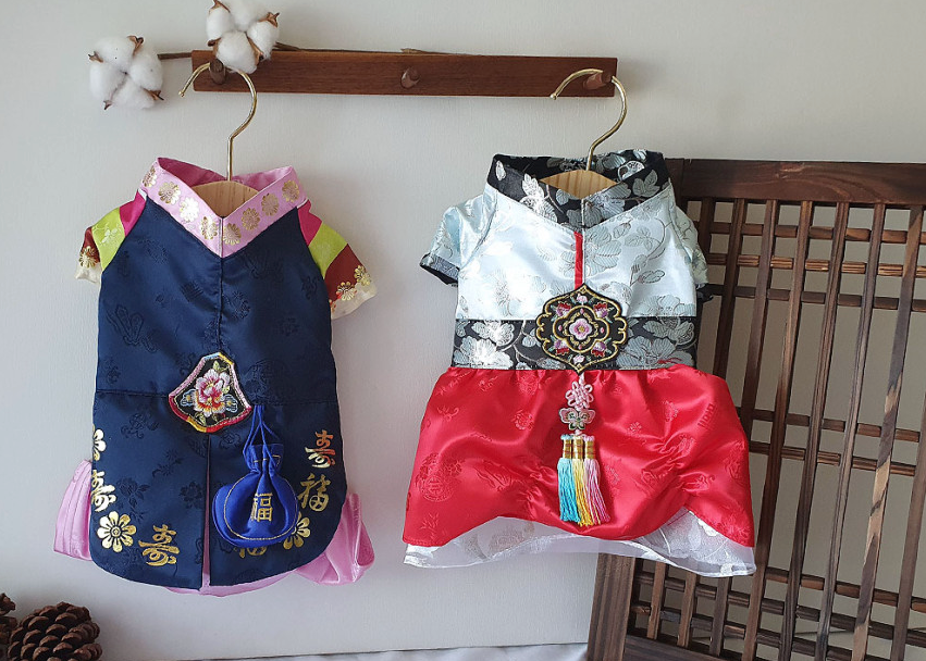 Traditional Embroidery Hanbok