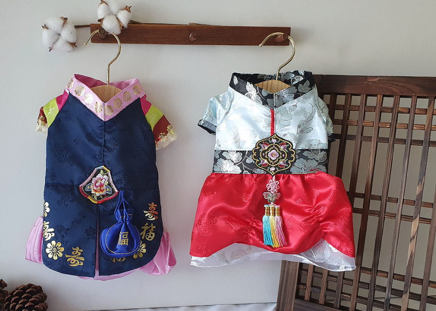 Traditional Embroidery pet Hanbok