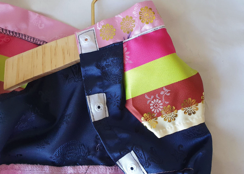 Traditional Embroidery pet Hanbok