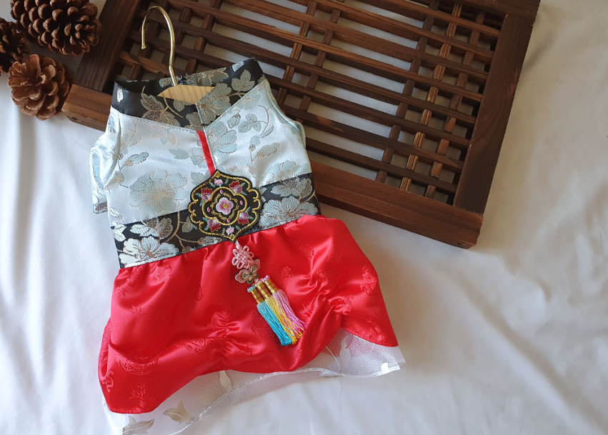 Traditional Embroidery pet Hanbok