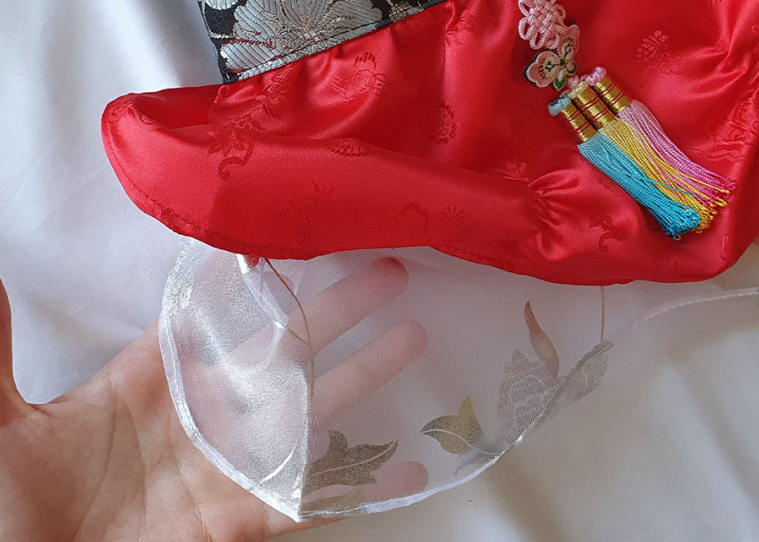 Traditional Embroidery pet Hanbok