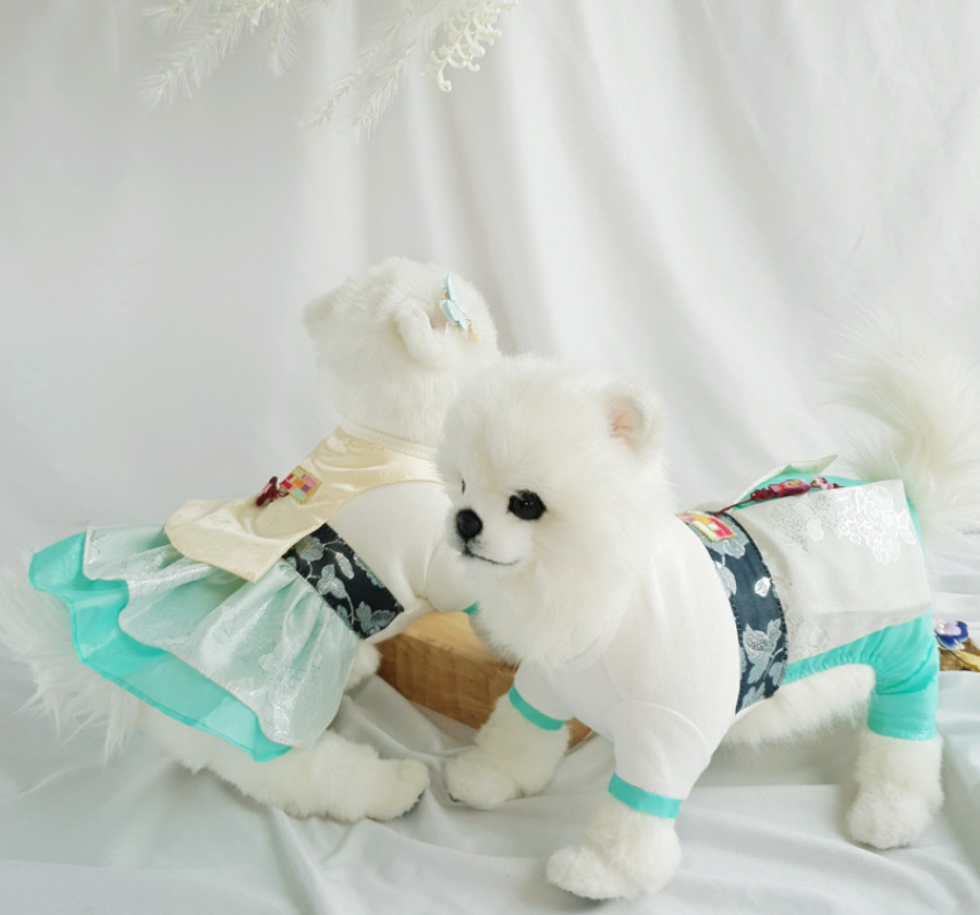 NKpup Silver Embroidery Hanbok pet clothing featuring a white jeogori and mint green skirt.