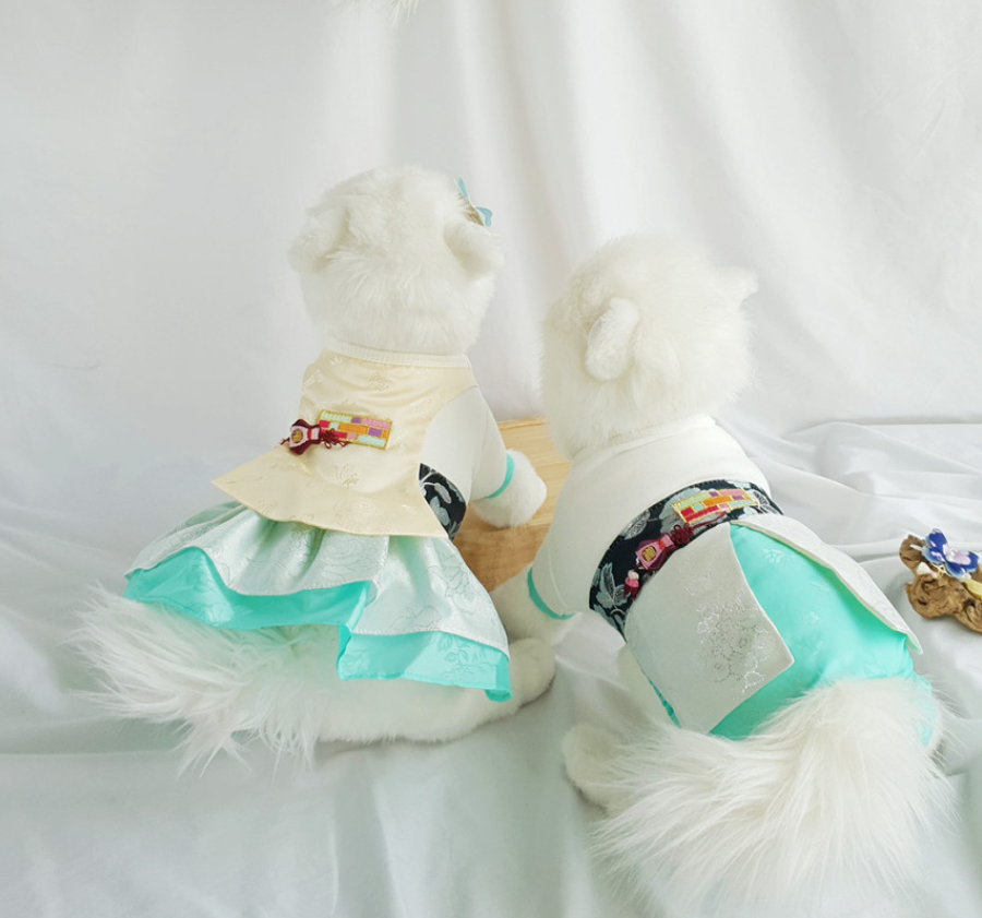 Pet hanbok with silver embroidery and colorful traditional norigae accents.