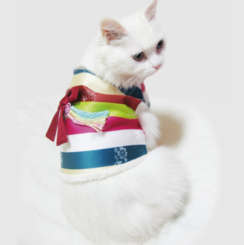 Saekdong Vest Pet Hanbok
