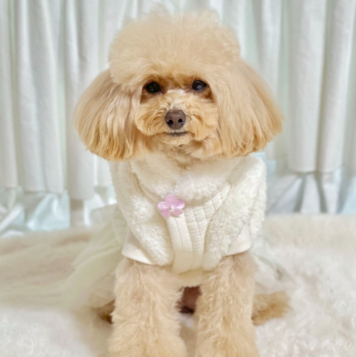 White fur floral quilted pet hanbok vest for dogs