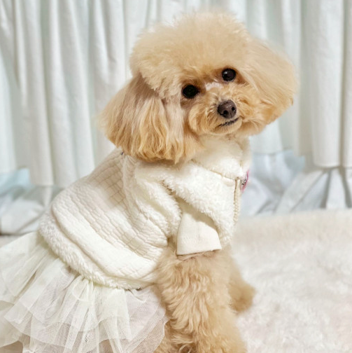 Fur Floral Quilted Vest Pet Hanbok
