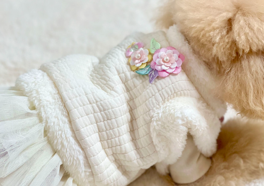 Cream floral quilted pet hanbok vest with colorful flower embroidery
