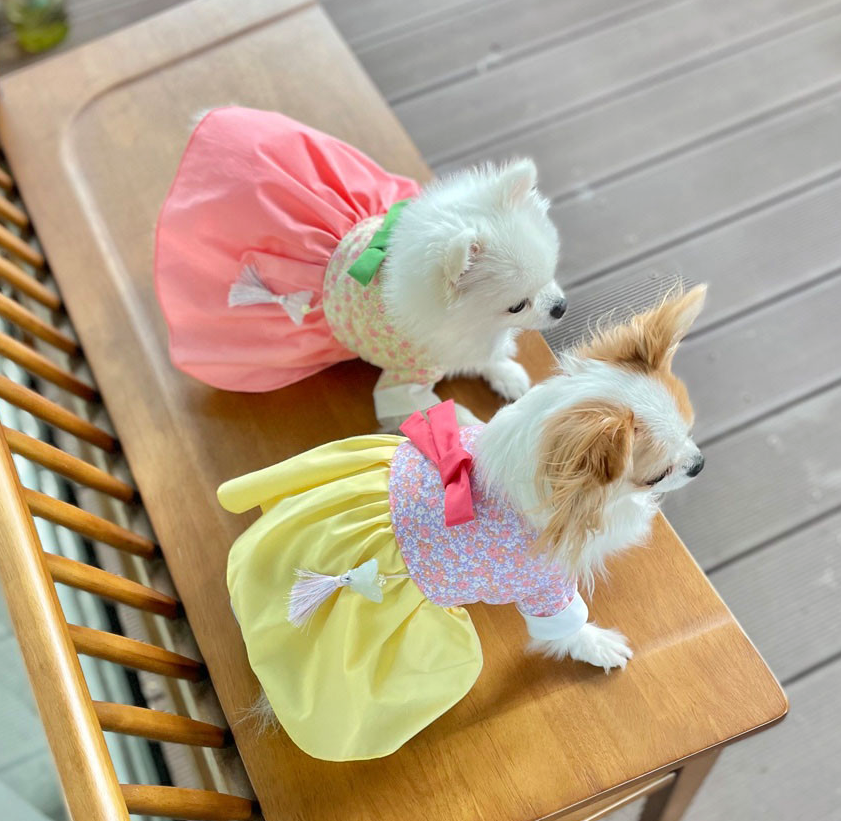 NKpup Floral Bow Pet Hanbok in pink and yellow with traditional floral patterns and ribbons.