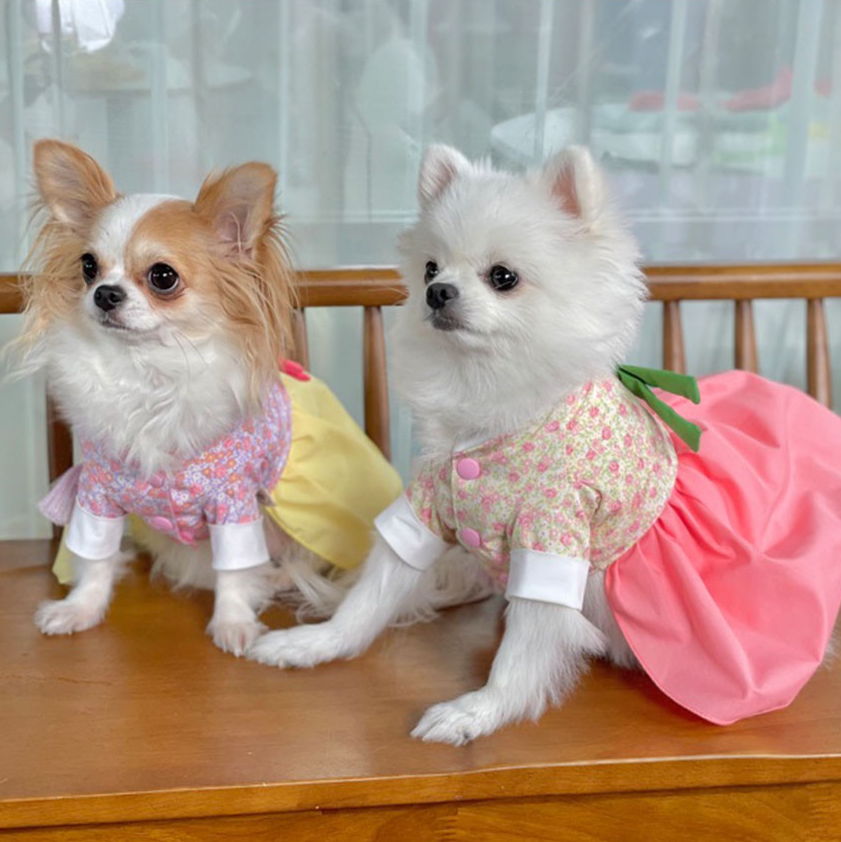 NKpup Floral Bow Pet Hanboks in pink, yellow, and floral patterns.