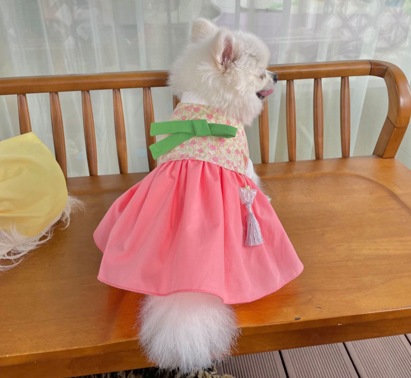 NKpup Floral Bow Pet Hanbok with a pink skirt, floral jeogori, green bow, and norigae tassel.