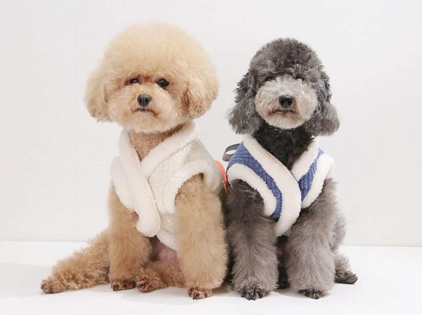 NKpup Cotton Quilted Vest Pet Hanbok in white and blue white