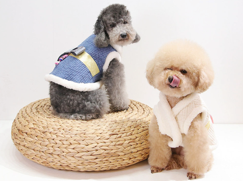 NKpup blue cotton quilted vest pet hanbok with gold trim and white cream knit pet hanbok