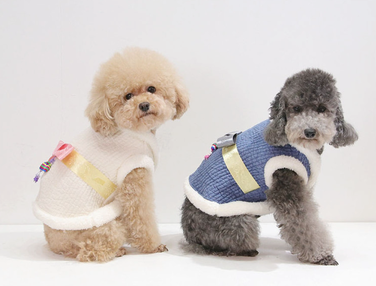 NKpup cotton quilted vest pet hanbok in white and blue with gold accents and norigae charms