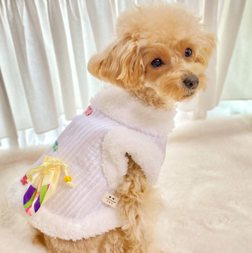 Butterfly Quilted Vest Pet Hanbok