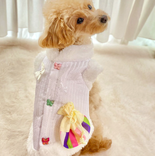 Butterfly Quilted Vest Pet Hanbok