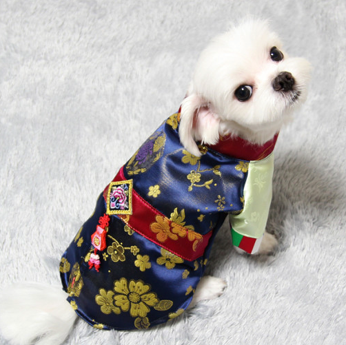 White dog wearing a navy blue NKpup gold embroidery pet hanbok with a red sash and decorative norigae