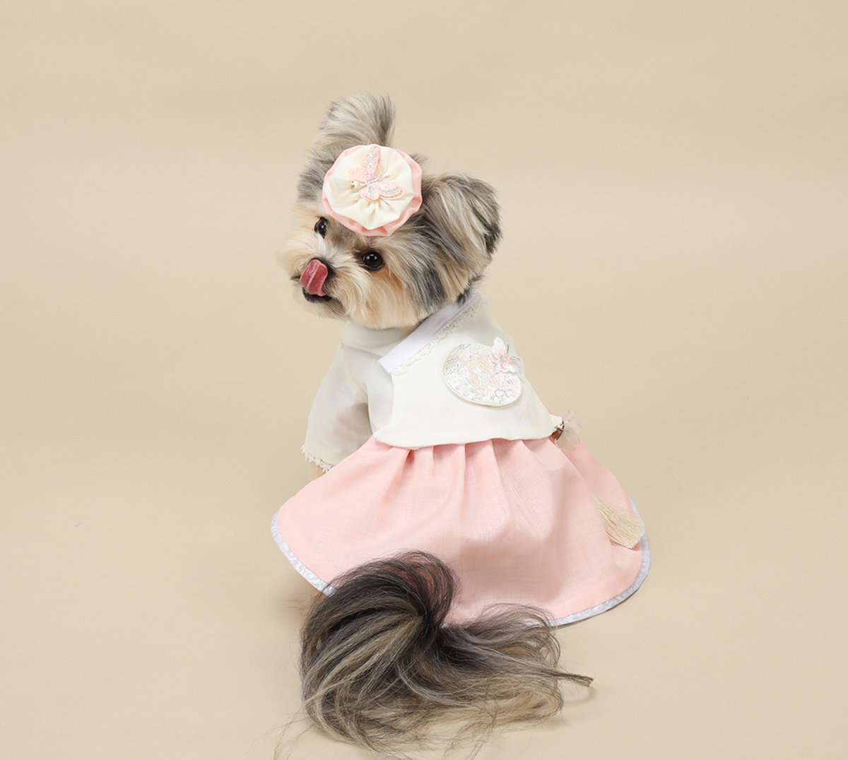 Princess Pink pet hanbok featuring a white jeogori top and pink skirt with decorative details.
