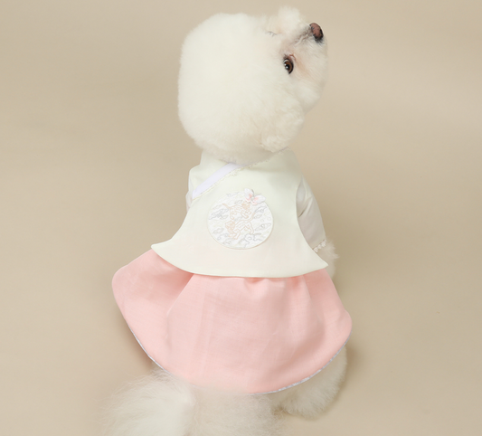 Princess Pink Pet Hanbok
