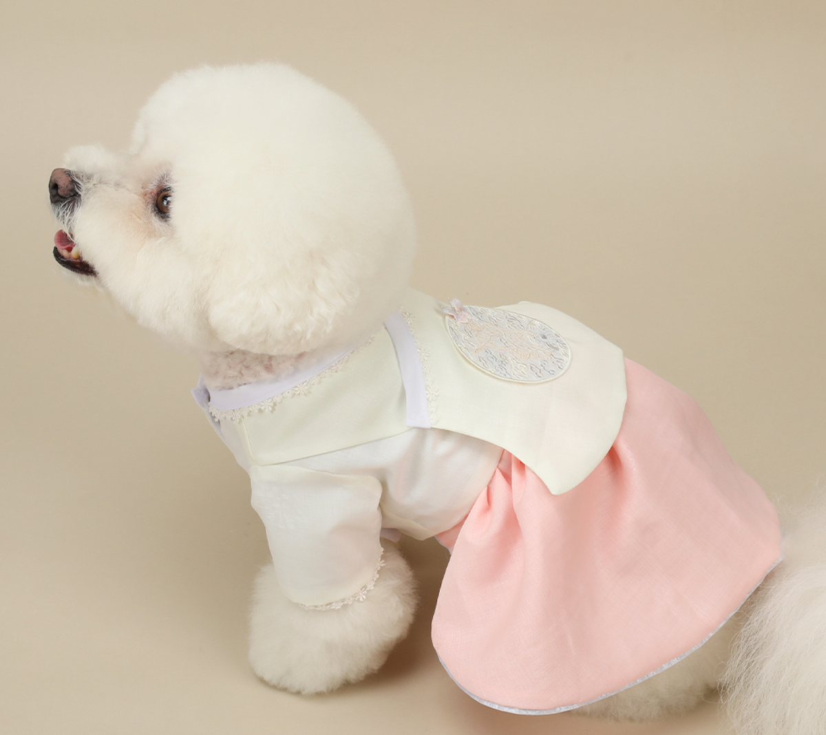 Princess Pink Pet Hanbok