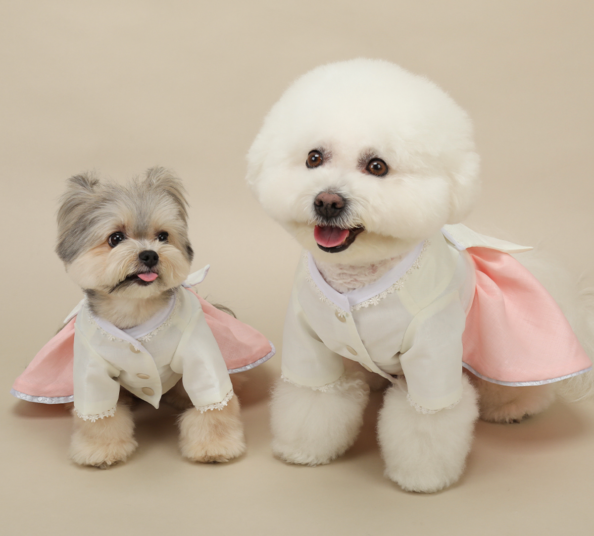 Princess Pink Pet Hanbok featuring a white jeogori and pink skirt for dogs by NKpup