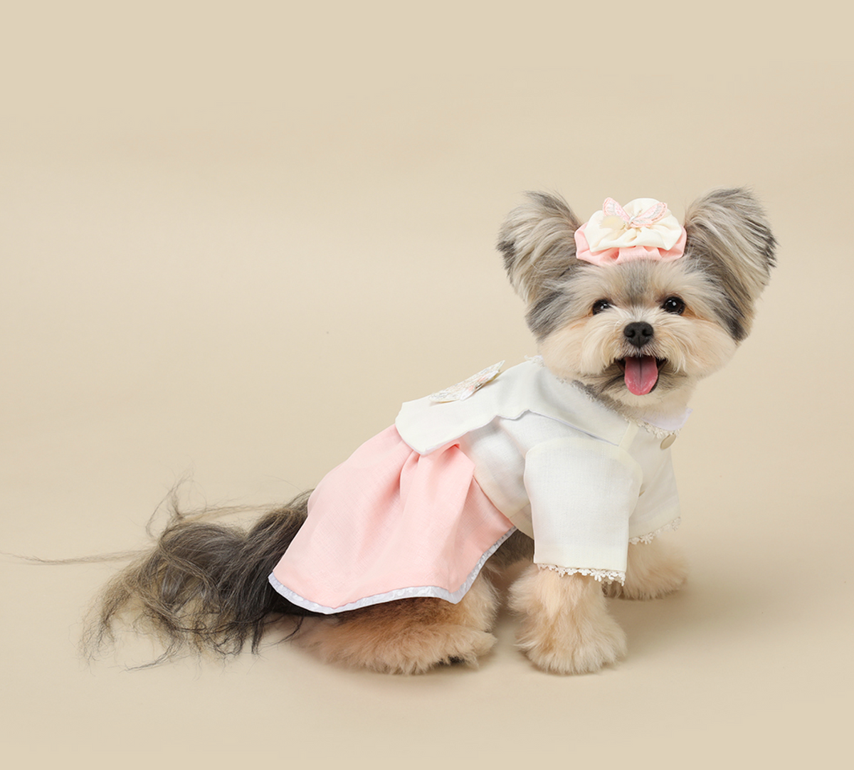 Princess Pink Pet Hanbok featuring a white jeogori and pink skirt with a matching hair bow.