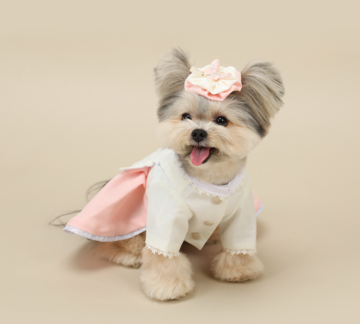 Princess Pink Pet Hanbok featuring a white jeogori and pink skirt with a matching bow.