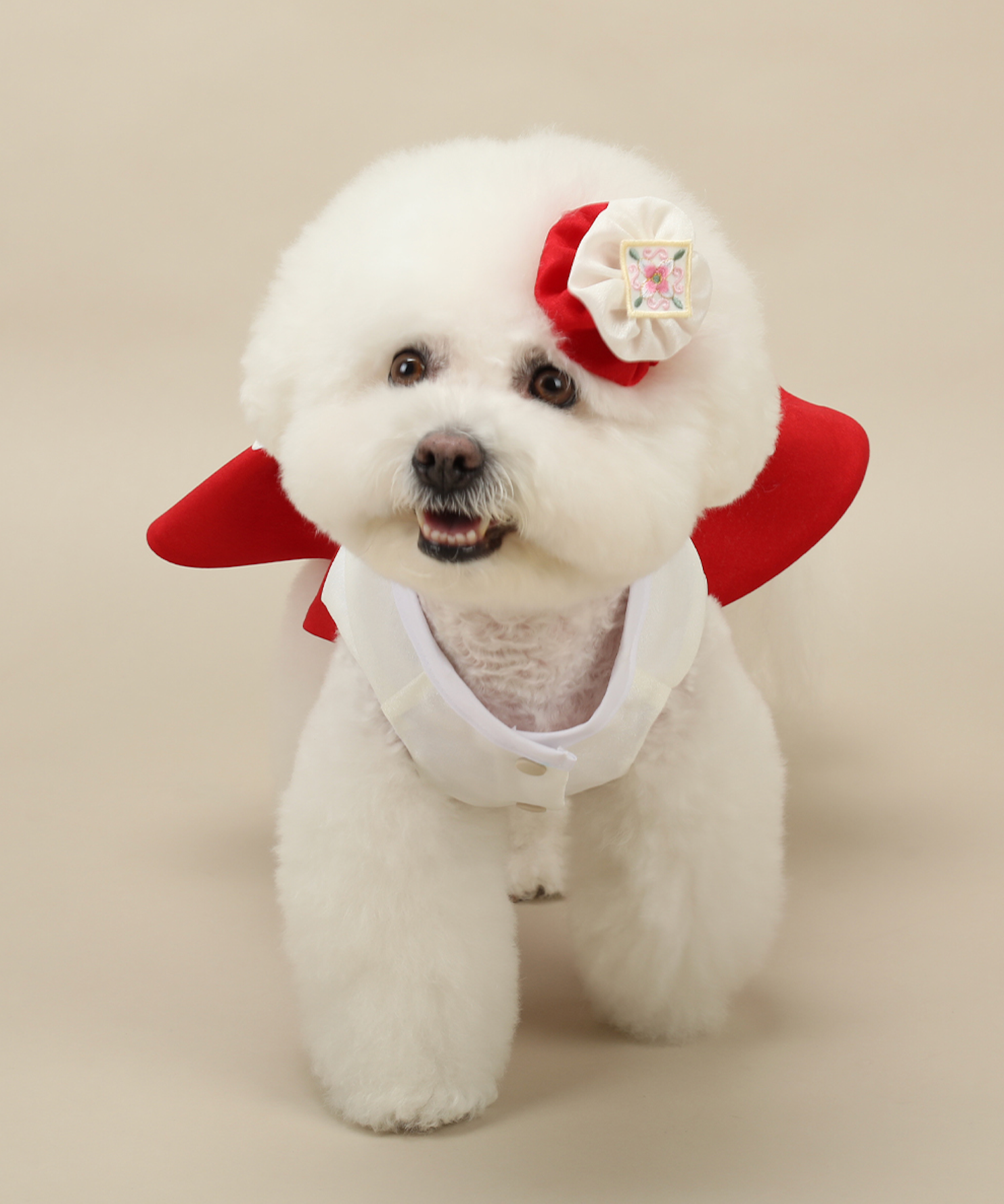 Princess Red Pet Hanbok