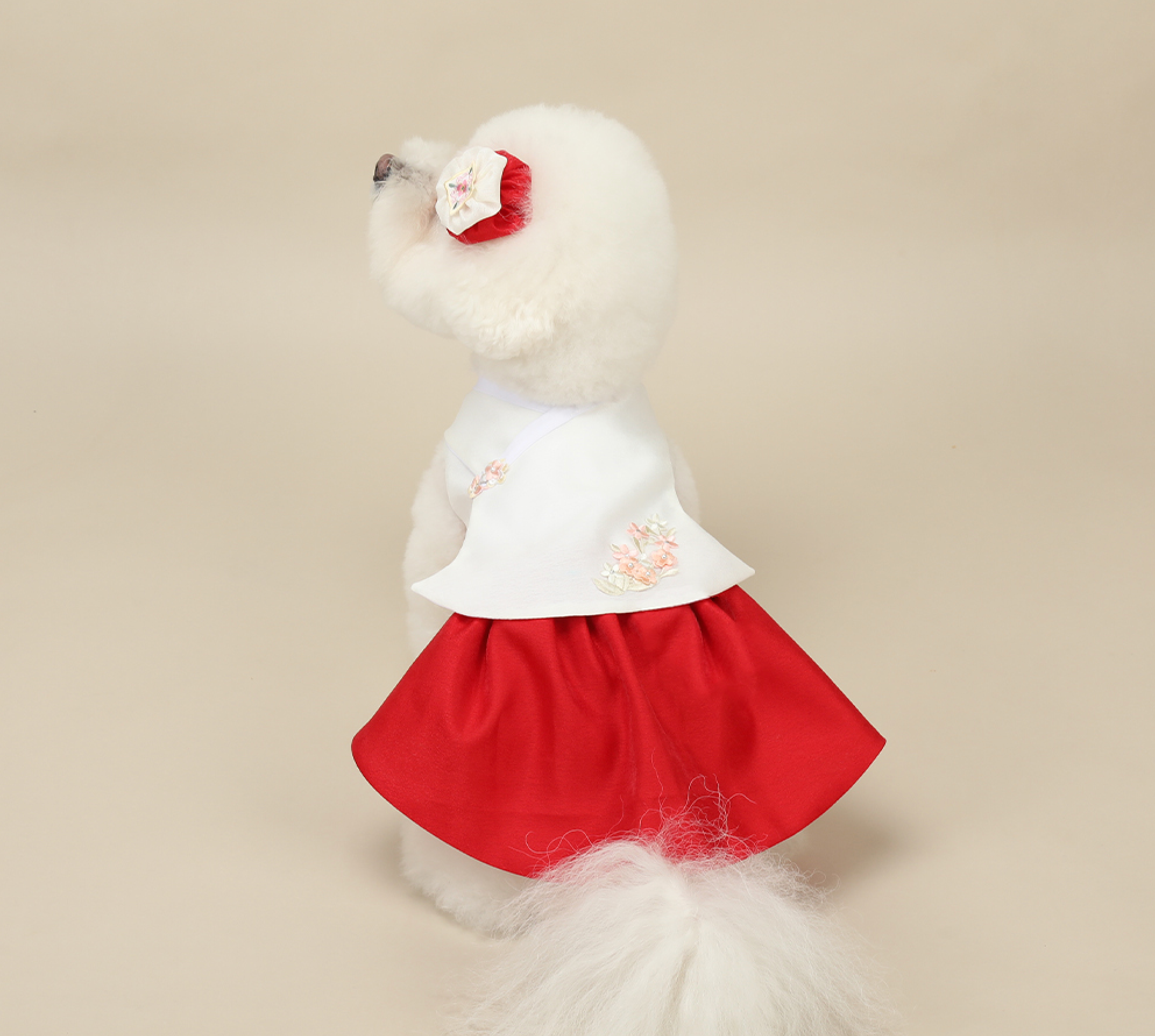 Princess Red Pet Hanbok