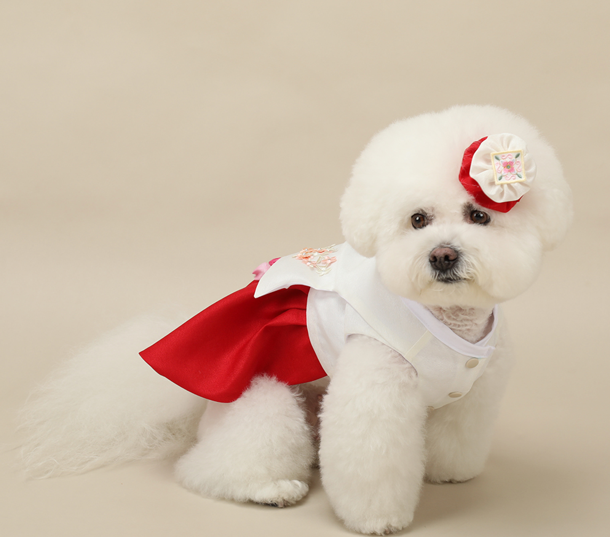 Princess Red Pet Hanbok