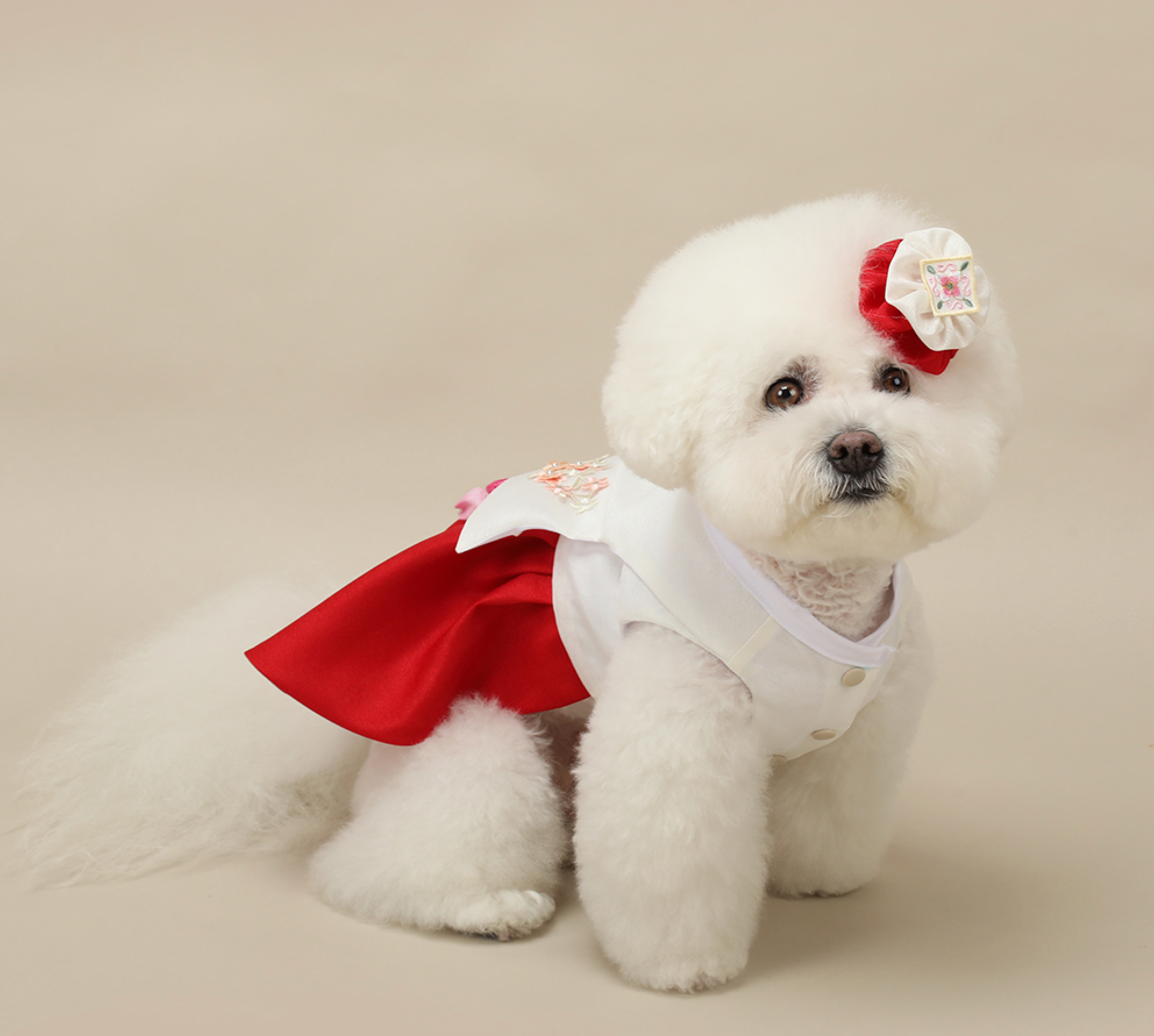 Princess Red Pet Hanbok