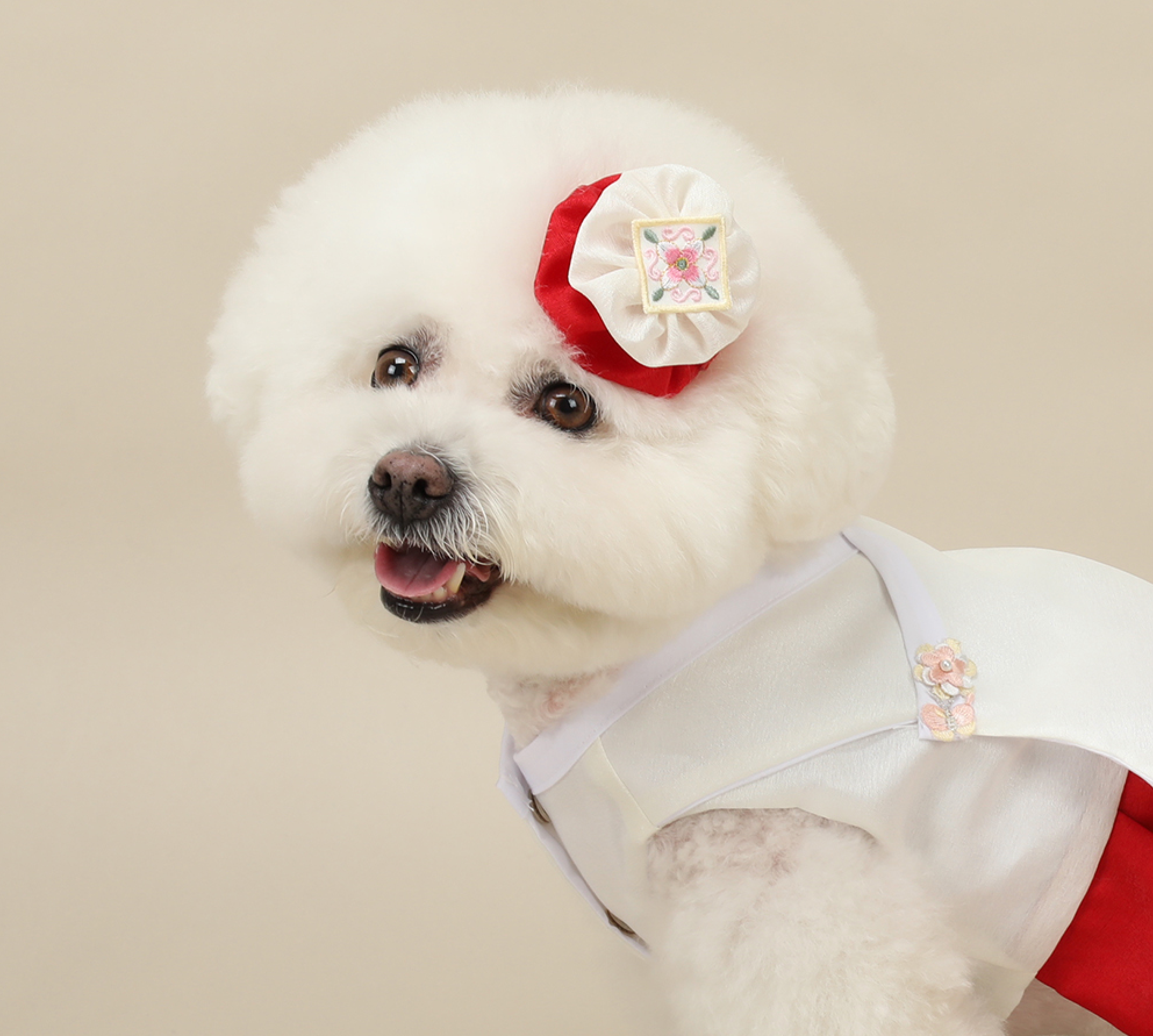 Princess Red Pet Hanbok