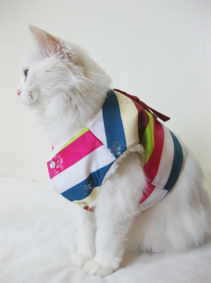 NKpup Saekdong Vest Pet Hanbok with colorful striped pattern and white lace trim