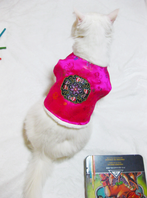 Pink NKpup Korean traditional embroidery vest pet hanbok with a colorful floral motif