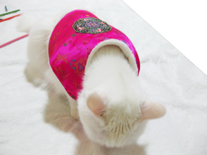 NKpup pink Korean traditional embroidery vest pet hanbok with floral patterns