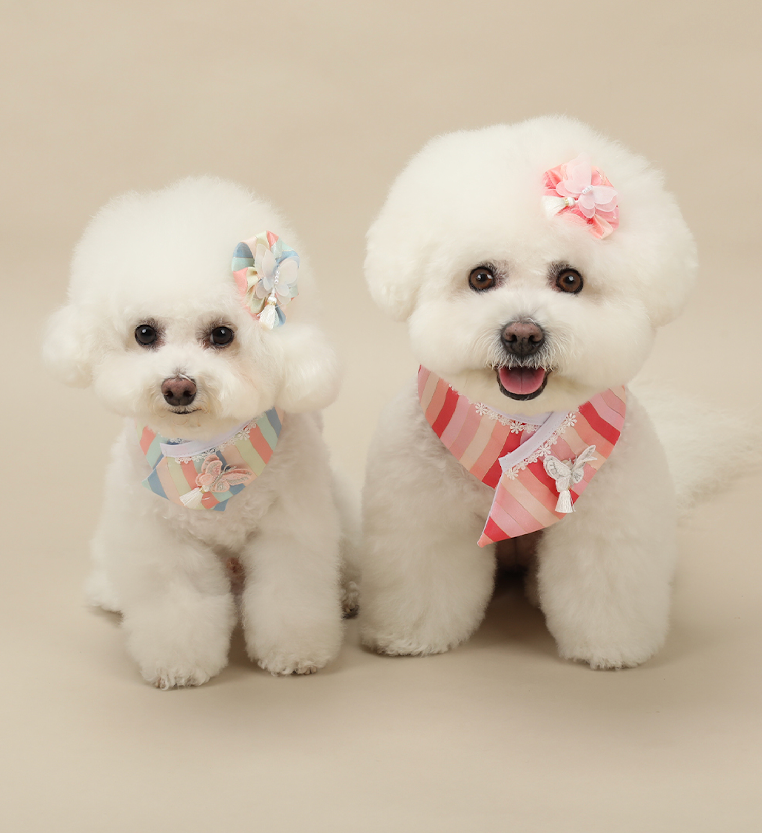 Butterfly Saekdong Pet Hanbok Cape