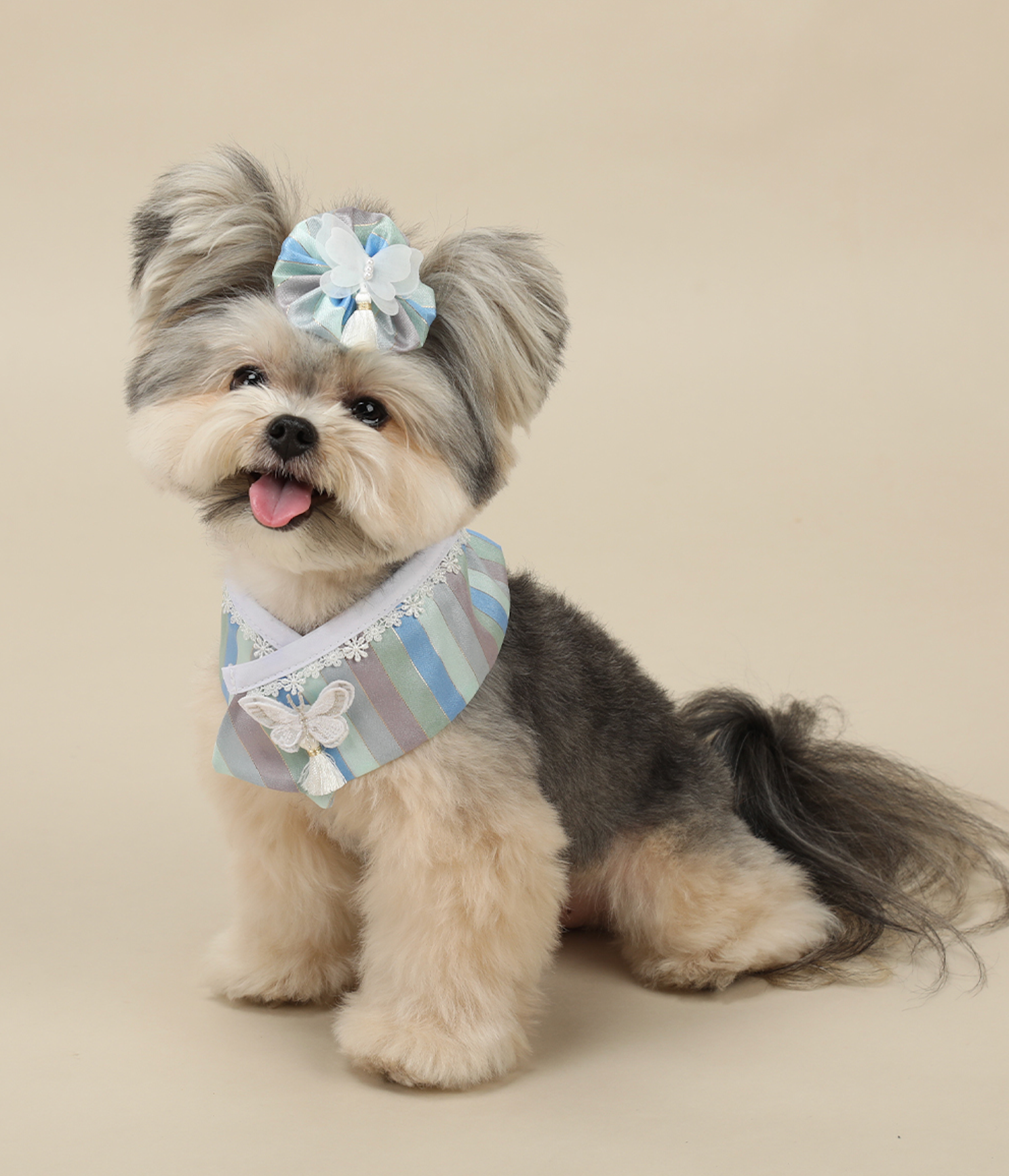 Butterfly Saekdong Pet Hanbok Cape