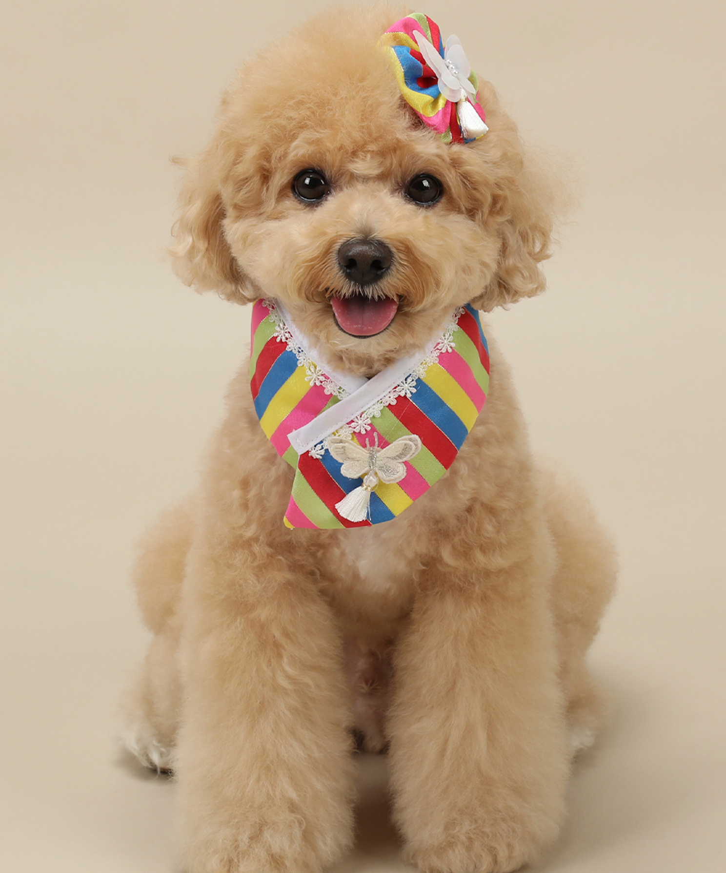 Butterfly Saekdong Pet Hanbok Cape